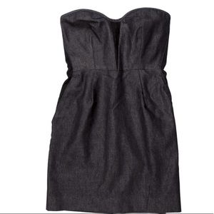Rag and Bone Denim and Suede Mini Dress Sz 6